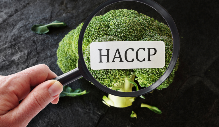 Corso di formazione in materia di HACCP